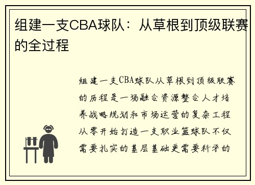 组建一支CBA球队：从草根到顶级联赛的全过程