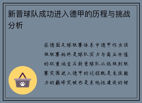 新晋球队成功进入德甲的历程与挑战分析